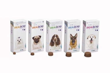 Bravecto® in de (sociale) media