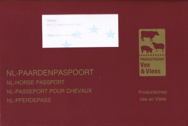 Paardenpaspoort verplicht, maar waarom?