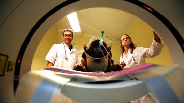 Vernieuwde website CT-scan