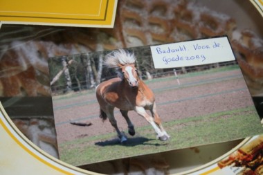 Traktatie voor afdeling paard