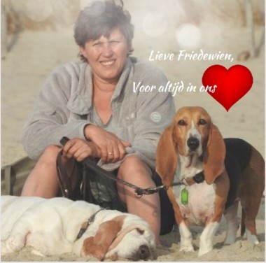 Friedewien in memoriam