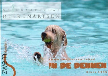 Baas hond zwemmen zondag 11 september