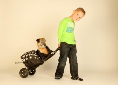 Week van het huisdier