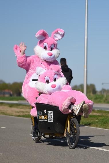 Evi op koers