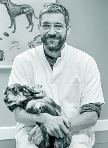 Simon Schuurman verlaat De Graafschap Dierenartsen