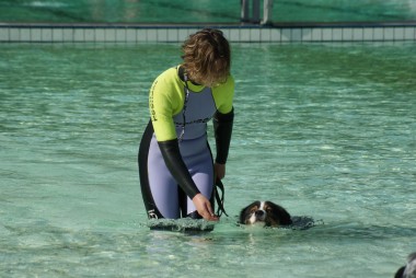Baas hond zwemmen Vorden 
