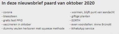 Digitale nieuwsbrief paard oktober 2020