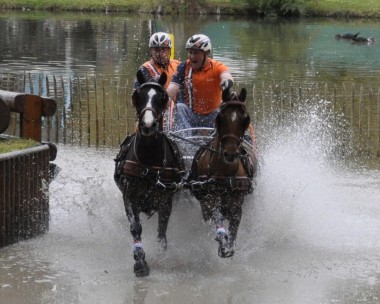 Goud, goud, goud, … WK mennen pony’s