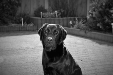 december en januari: maanden van de voeding