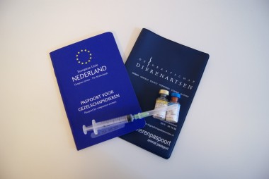 de brexit en uw huisdier