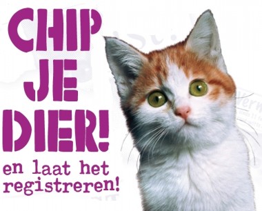 Juni chipmaand