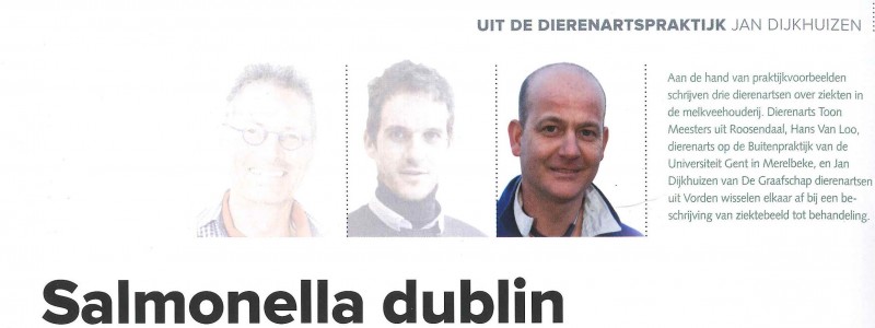 Veelteelt maart 2017, Samonella dublin door Jan Dijkhuizen