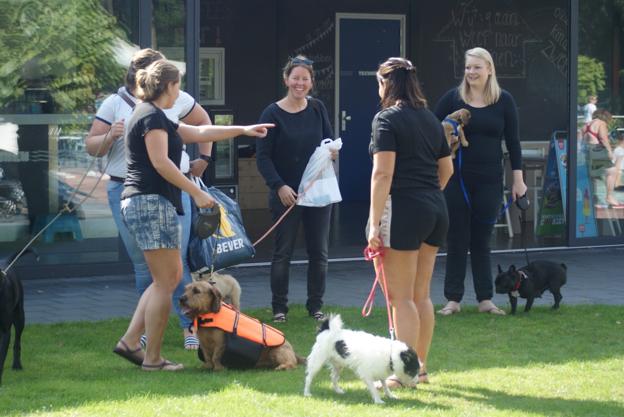 Baas hond zwemmen Vorden 17 september - De Graafschap ...