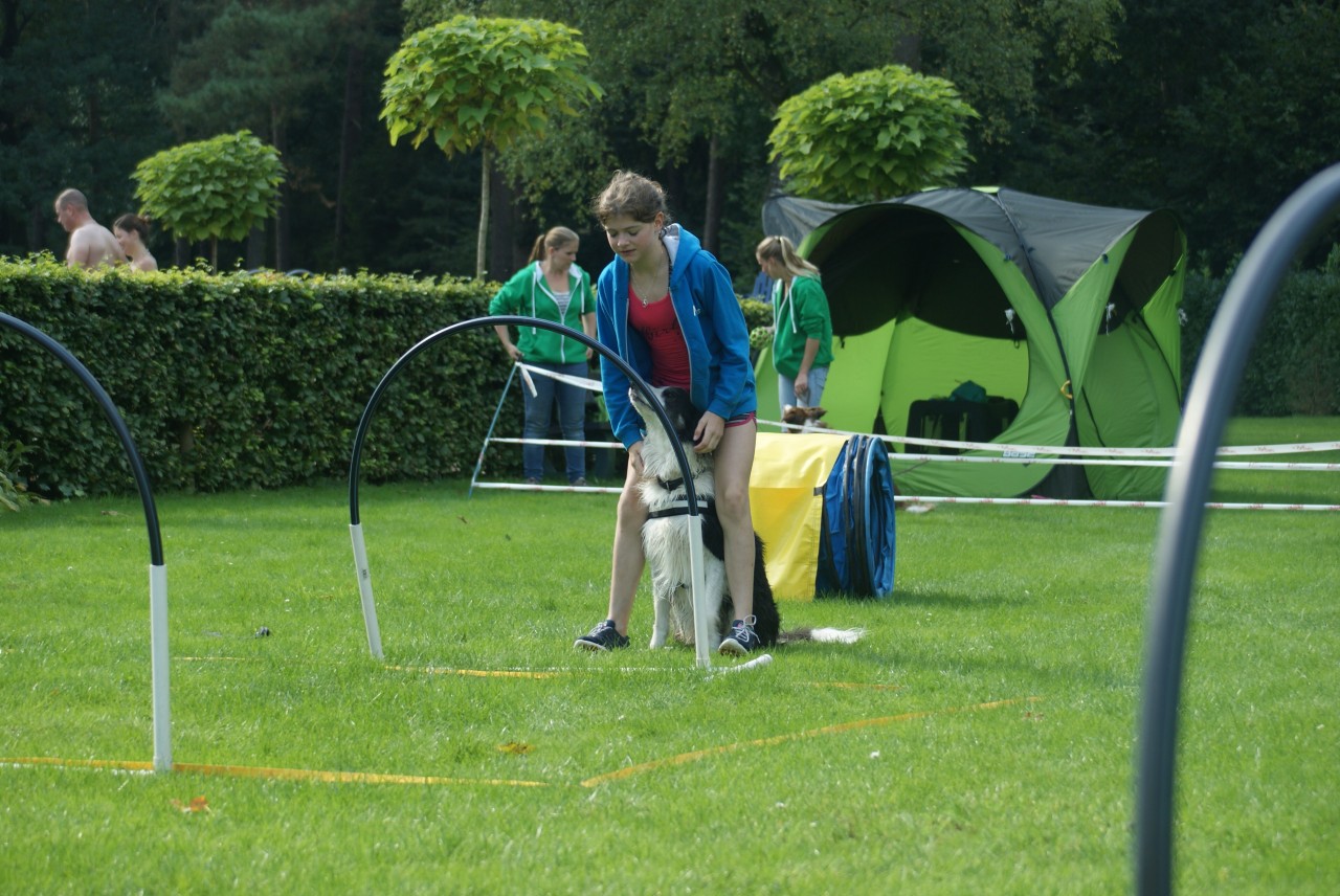 Baas hond zwemmen Vorden 17 september - De Graafschap ...