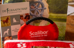 het verrassingspakket in de goodiebag